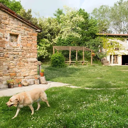 לינה וארוחת בוקר Ca Colmello - Country House Gesso (Bologna)