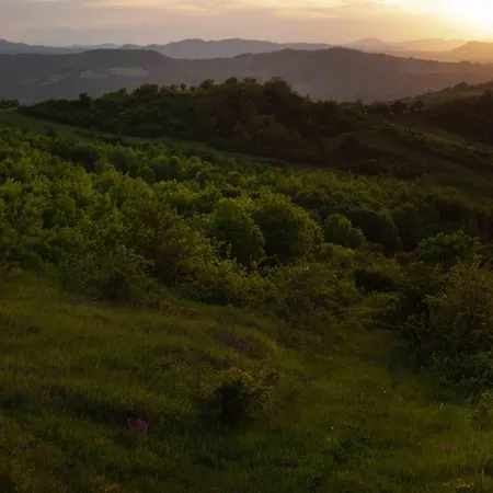 Ca Colmello - Country House Bed & Breakfast Gesso (Bologna)