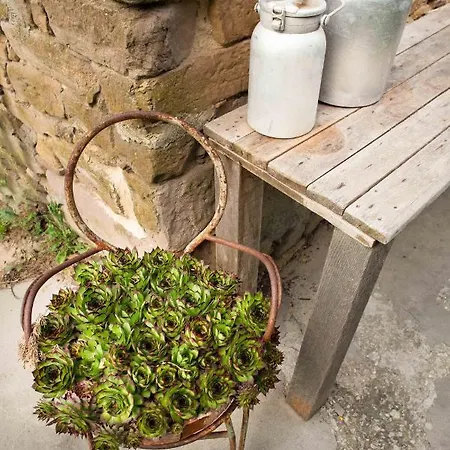 Ca Colmello - Country House * Gesso (Bologna)