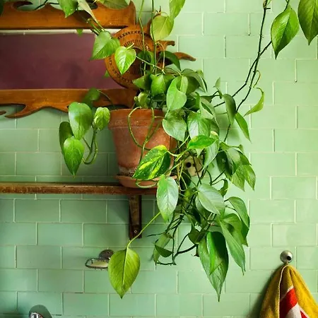 Ca Colmello - Country House * Gesso (Bologna)