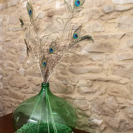 Oda ve Kahvaltı Ca Colmello - Country House Gesso (Bologna)