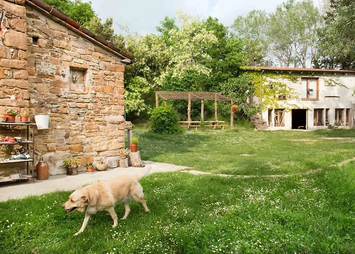 Bed & Breakfast Ca Colmello - Country House Gesso (Bologna)