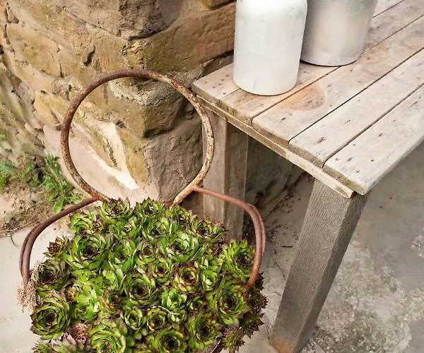 Ca Colmello - Country House * Gesso (Bologna)